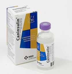 Caninsulin 40IE/mL 10 mL Bottle Insulin