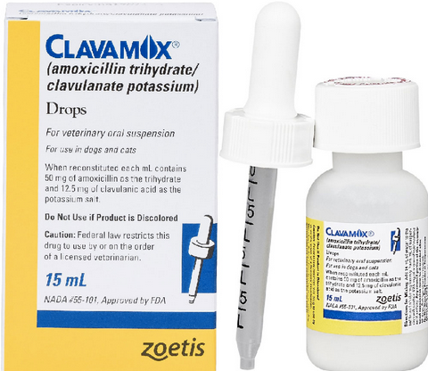 Clavamox Liquid 15mL Antibiotic