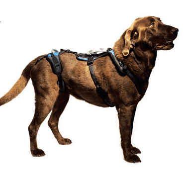 Help 'Em Up Harness for Dogs – The Pet Health Centre