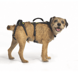 Help 'Em Up Harness for Dogs