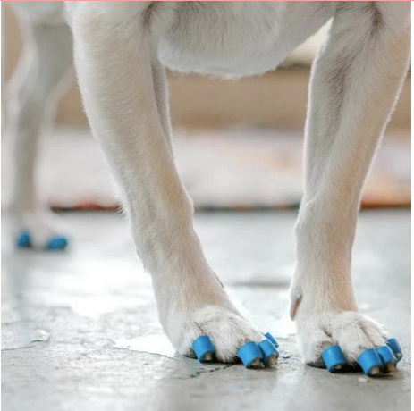 Toegrips for deals dogs